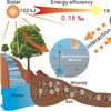 Semiconducting minerals may help non-phototrophic microorganisms harness solar energy