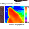 Professor Faxin Li’s group proposes a novel medical elastography method