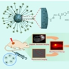 工学院戴志飞课题组在癌症纳米诊疗制剂研究中取得重要进展