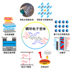 《化学研究评述》报道工学院占肖卫课题组稠环电子受体的系统性工作