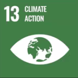 COE participates in symposium “Accelerating progress towards the Sustainable Development Goals in the post-COVID era: the contribution of Universities”
